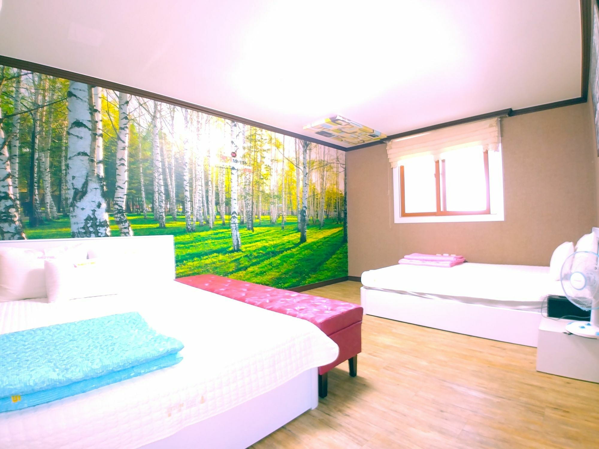 Hotel 9St Traveltel à Busan Extérieur photo